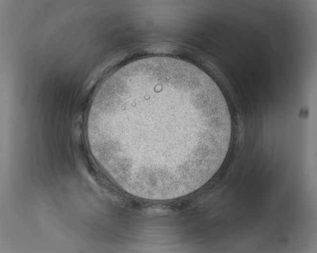 X0000112980586200910081111