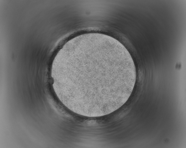 X0000112980588200910081111