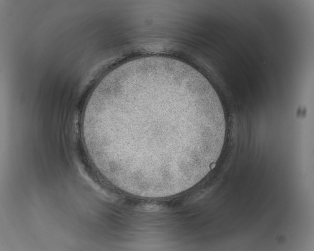 X0000112980590200910081111
