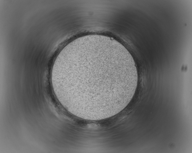 X0000112980591200910081111