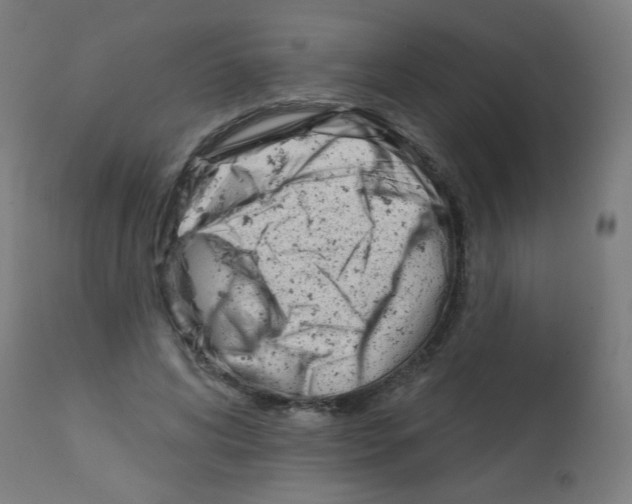 X0000112980592200910081111