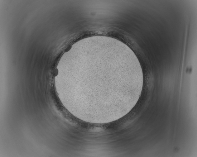 X0000112980594200910081111