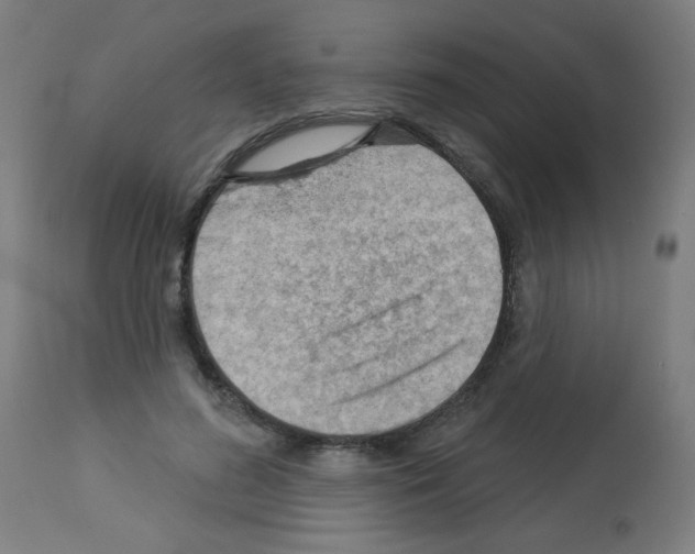 X0000112980596200910081111
