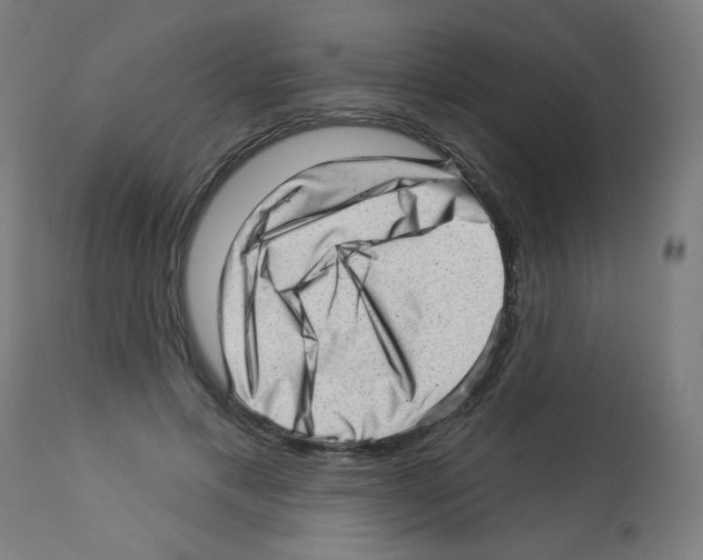X0000112980597200910081111