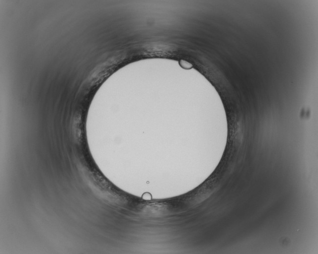 X0000112980599200910081111