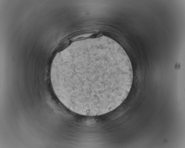 X0000112980600200910081111
