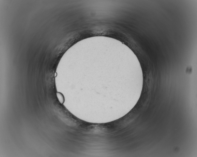 X0000112980601200910081111