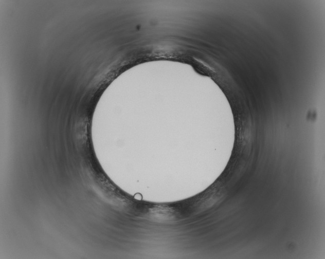 X0000112980603200910081111