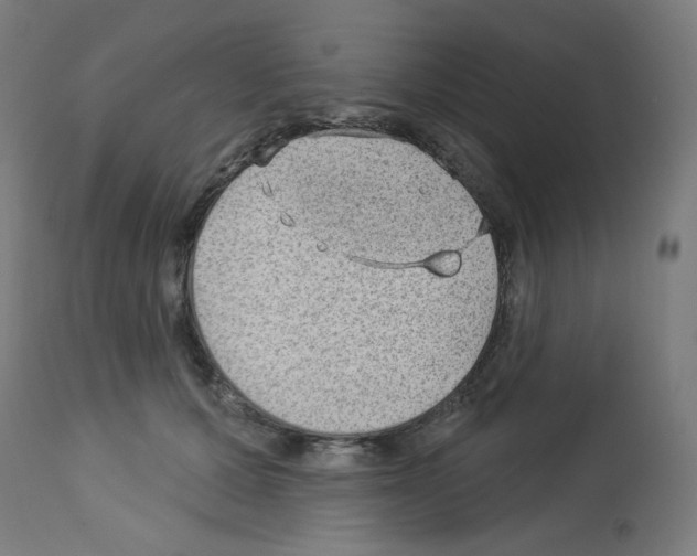 X0000112980607200910081111