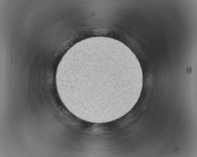 X0000112980608200910081111