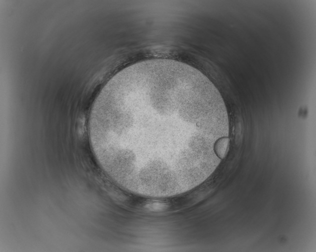 X0000112980610200910081111