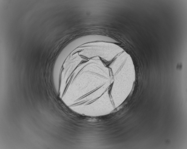 X0000112980611200910081111