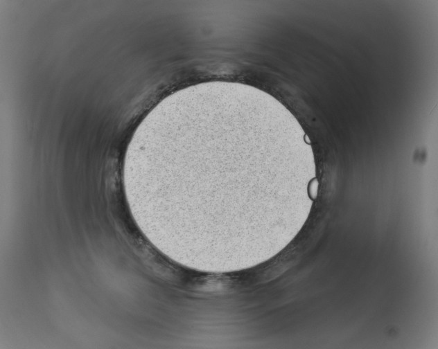 X0000112980612200910081111