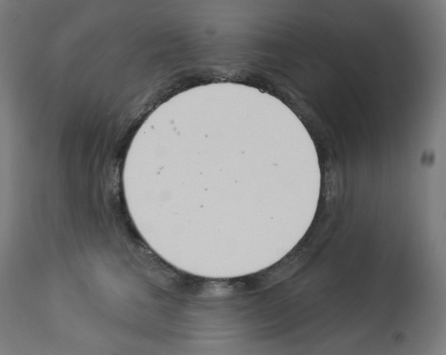X0000112980613200910081111