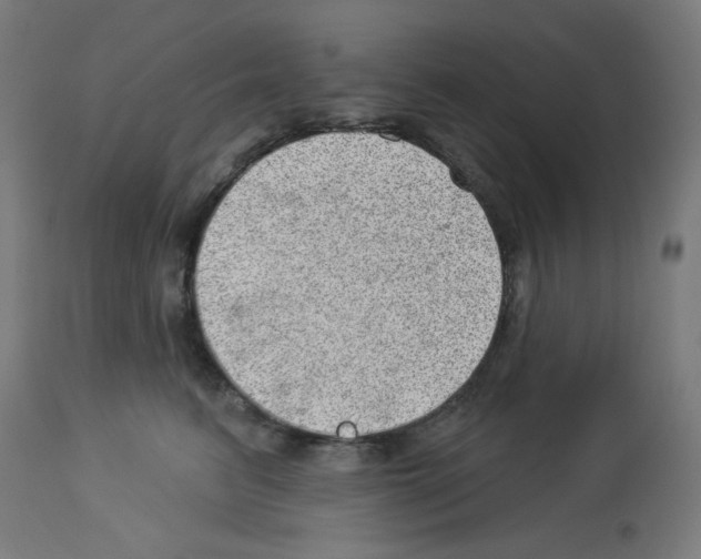 X0000112980615200910081111
