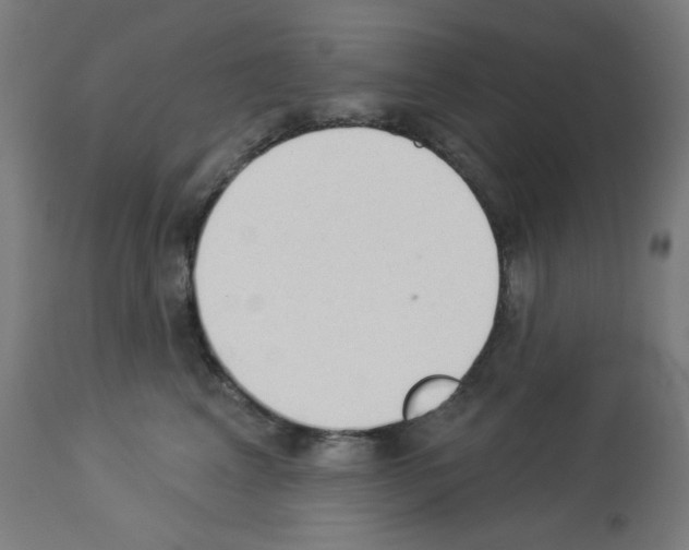 X0000112980617200910081111