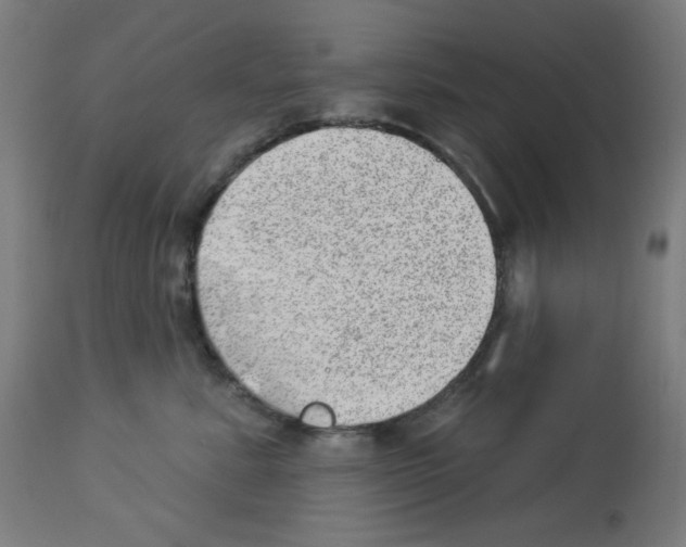 X0000112980619200910081111