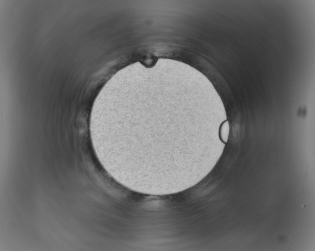 X0000112980620200910081111