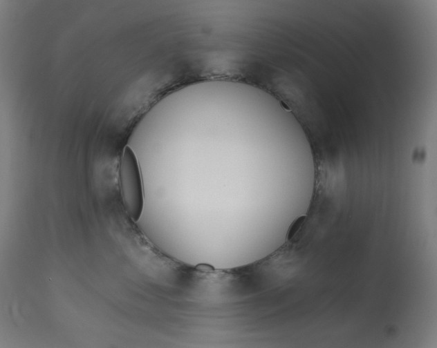 X0000112980621200910081111