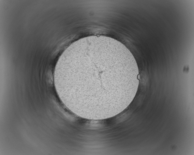 X0000112980622200910081111