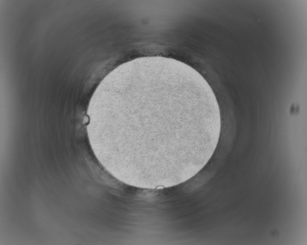 X0000112980624200910081111