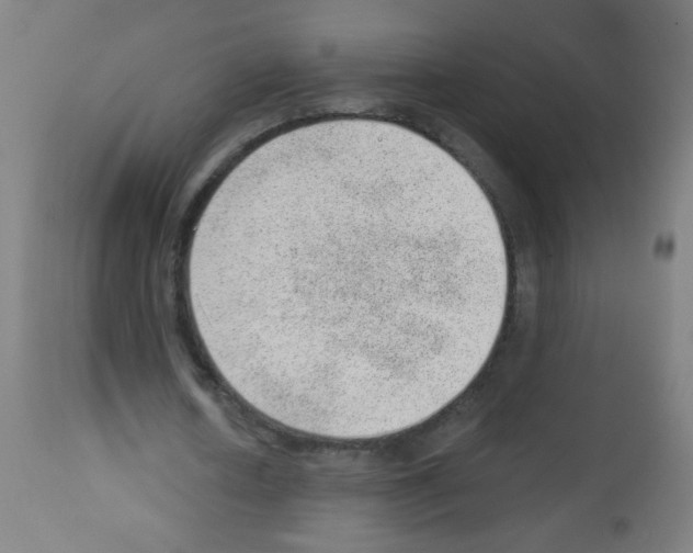 X0000112980626200910081110