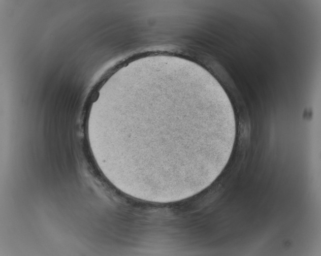 X0000112980628200910081110