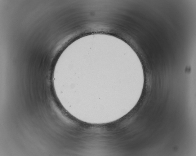 X0000112980629200910081110