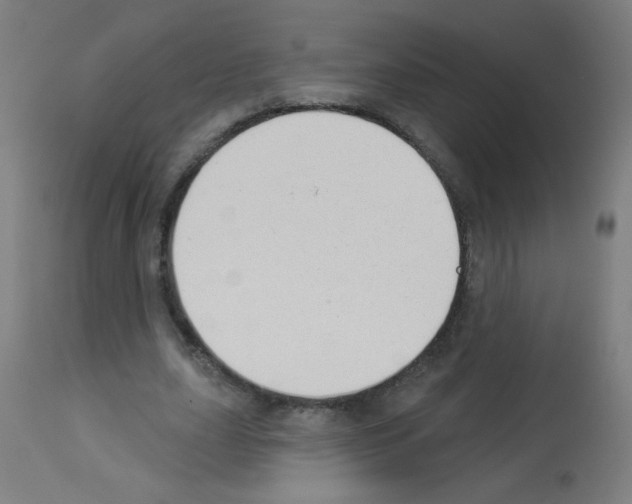 X0000112980631200910081110