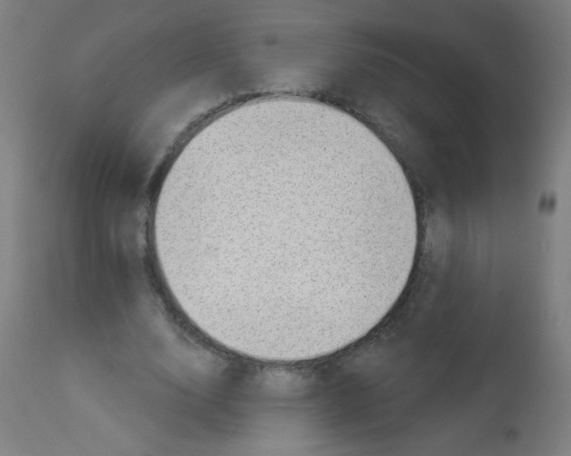 X0000112980632200910081110