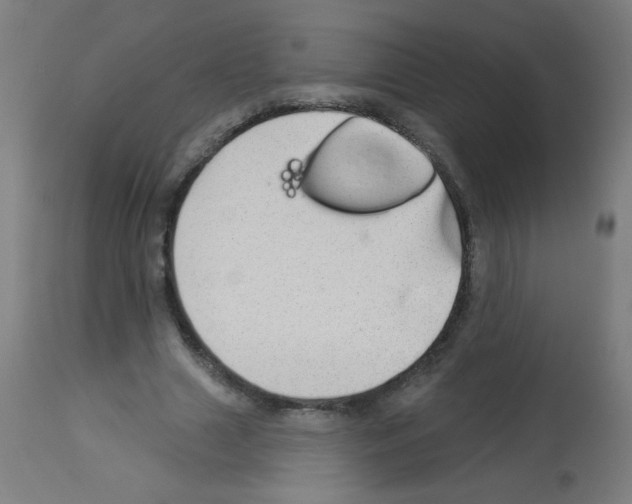 X0000112980633200910081110