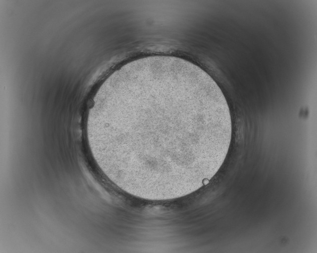 X0000112980634200910081110