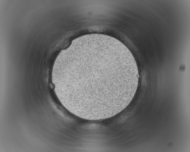 X0000112980637200910081110