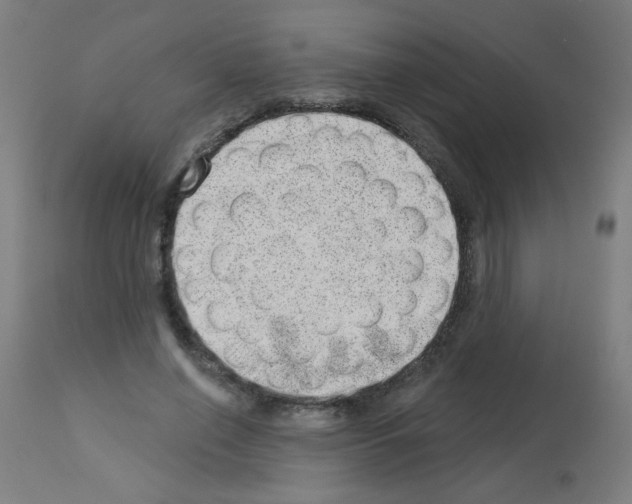 X0000112980638200910081110