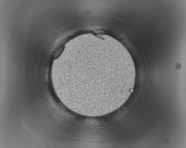 X0000112980640200910081110