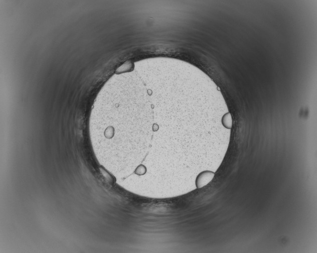 X0000112980643200910081111