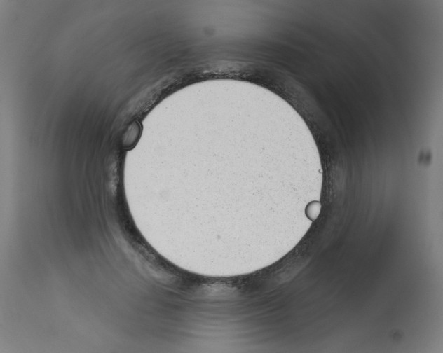 X0000112980644200910081111