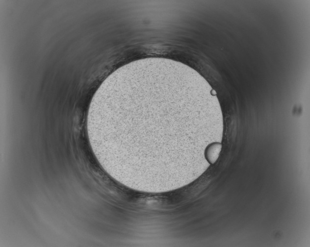 X0000112980655200910081111