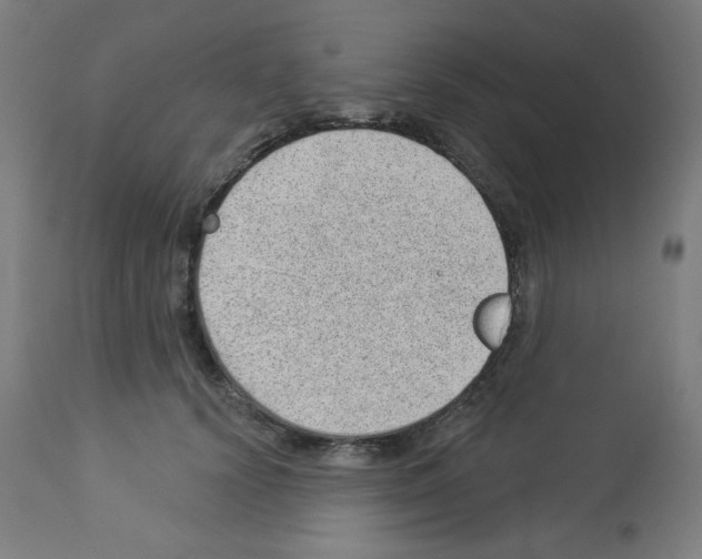 X0000112980656200910081111