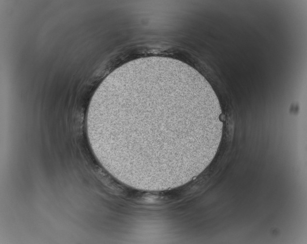 X0000112980657200910081111