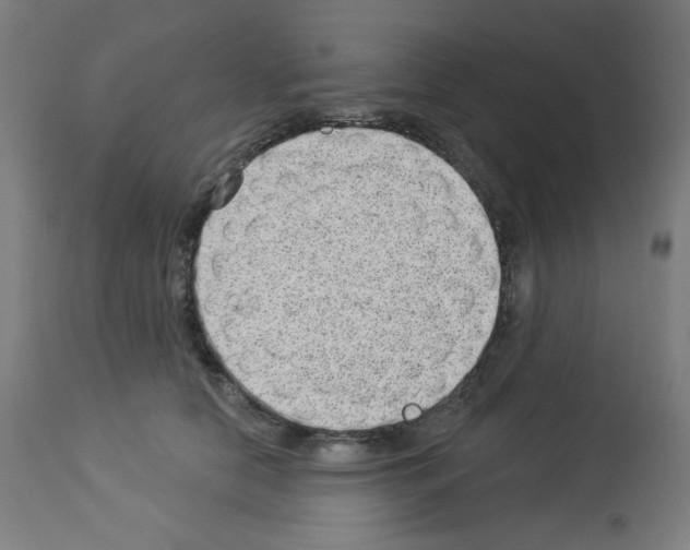 X0000112980658200910081111