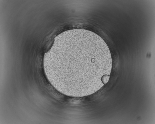 X0000112980661200910081111