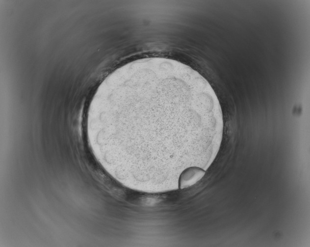 X0000112980662200910081111