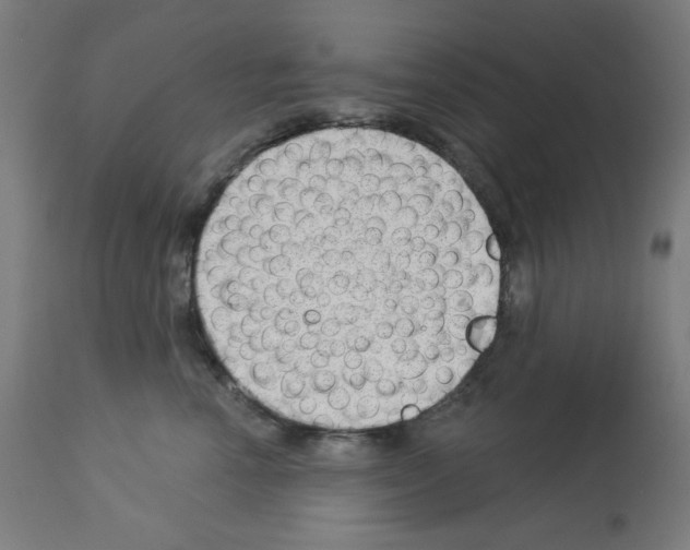 X0000112980666200910081111