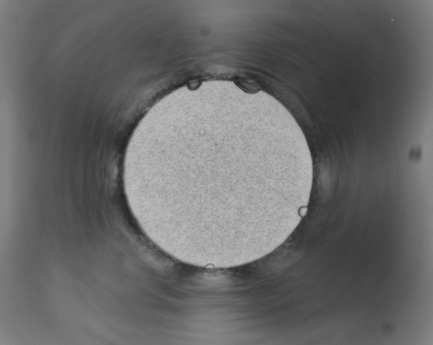 X0000112980668200910081111