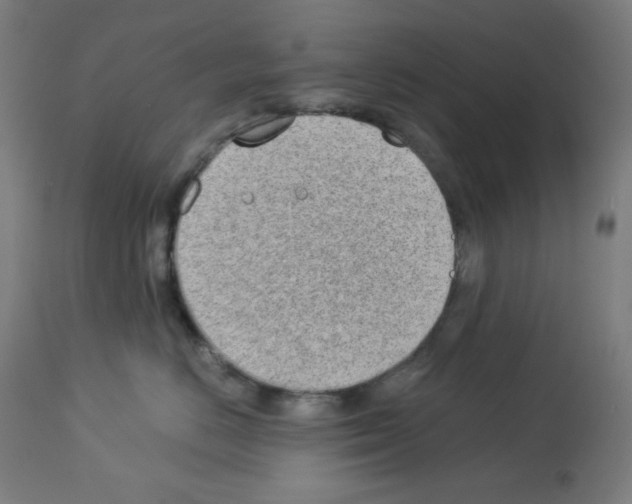 X0000112980670200910081111