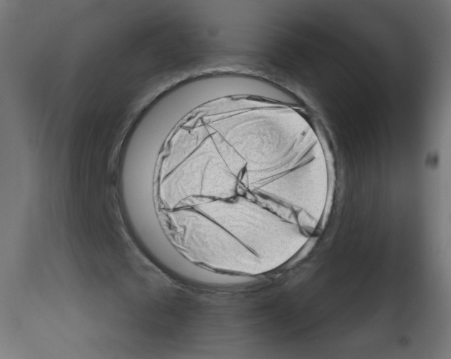 X0000112980673200910081110