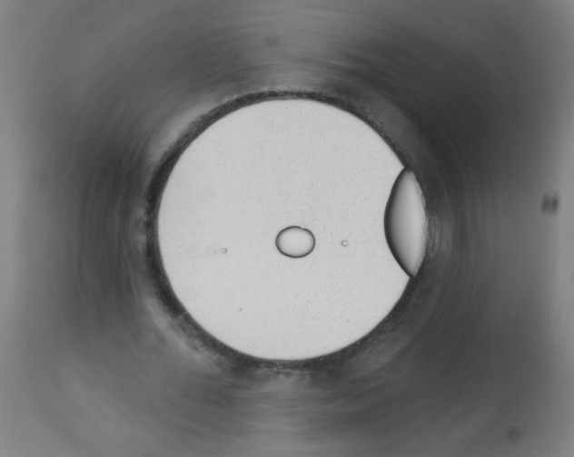 X0000112980676200910081110