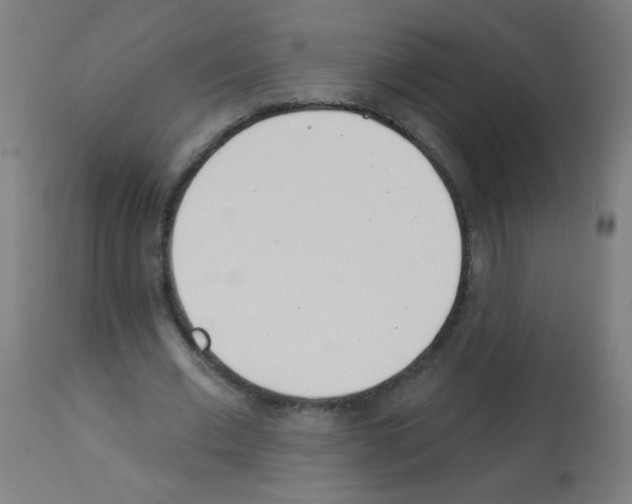 X0000112980677200910081110