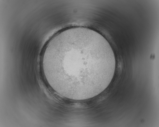 X0000112980678200910081110